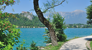 Obišči Bled z avtom-6