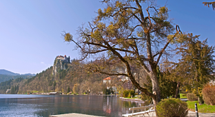Obišči Bled z avtom-11